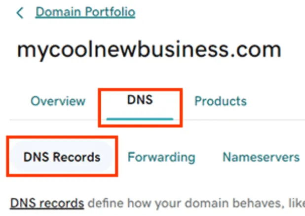 GoDaddyのドメインポートフォリオページで「DNS」タブを選択し、「DNS レコード」をクリックする操作を示す図